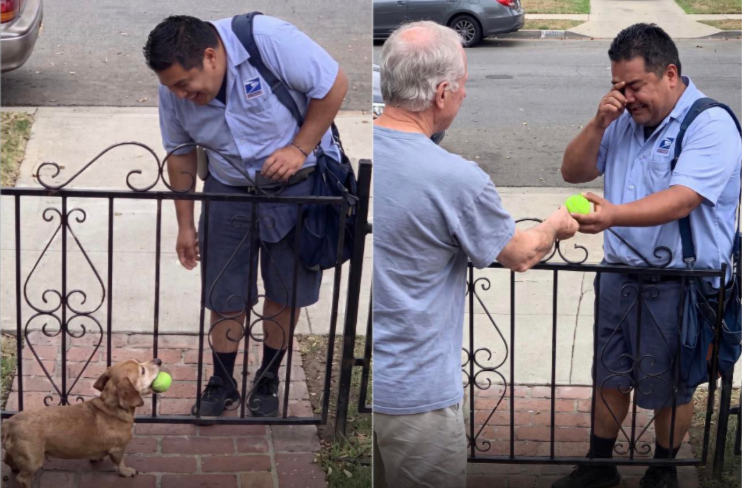 Mail Carrier Breaks Down in Tears After Receiving One Last Gift From His Favorite Dog